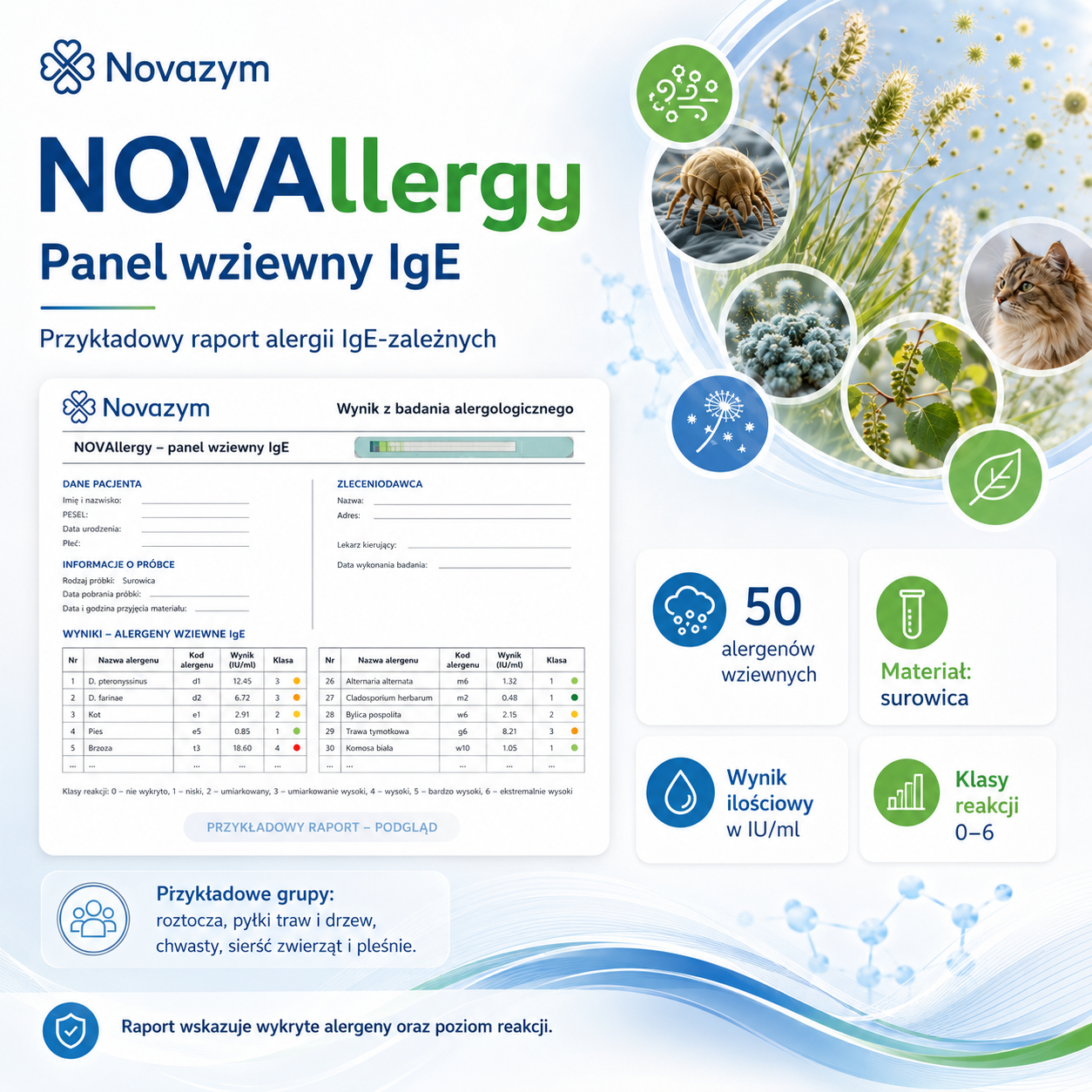 NOVAllergy Panel wziewny – podgląd przykładowego raportu