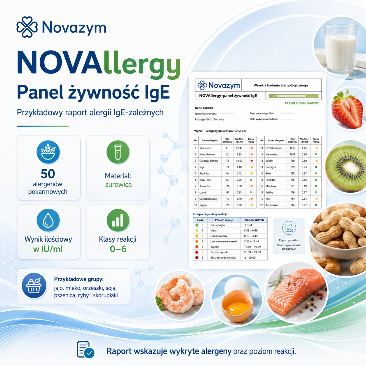 NOVAllergy Panel żywność IgE – podgląd przykładowego raportu